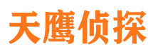 桃山市侦探调查公司